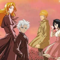 Bleach team