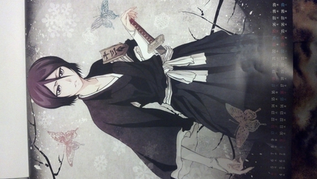 Rukia Wallpaper - bleach, rukia, soul reaper, awesome, wallpaper, kuchiki, poster