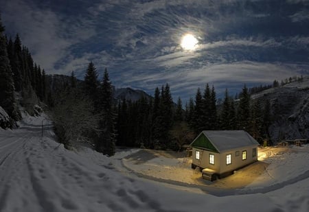 Cold and Isolated - clouds, house, moon, lights, fir trees, snow