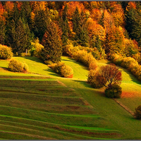 * Austria * Autumn