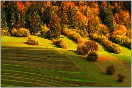 * Austria * Autumn - pastel, toamna, culori, muntii