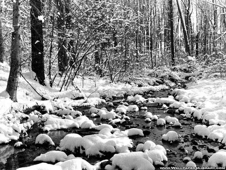 snow river - forrest, snow, cold, river