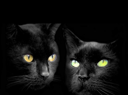 Two for Monica - green eyes, two, black, cats