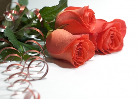 roses for you - roses, for, orange, love, you