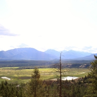 Mountains & tall trees in Banff Alberta National Park 30