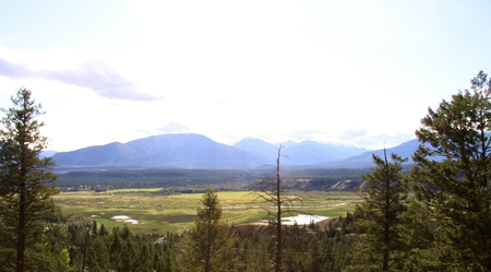 Mountains & tall trees in Banff Alberta National Park 30 - nature, tall, trees, clouds, photography, green, mountains