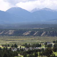 Mountains & tall trees in Banff Alberta National Park 31