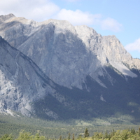 Mountains & tall trees in Banff Alberta National Park 32