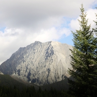 Mountains & tall trees in Banff Alberta National Park 33