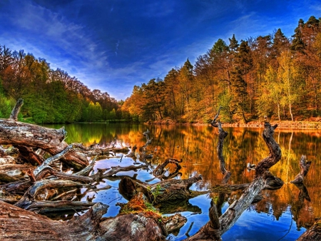 Autumn Lake - pc, panorama, colorful, reflections, amazing, evening, poplars, reflected, paysage, trunks, branches, wallpaper, nature, woods, beautiful, mirror, leaves, stones, pines, line, beauty, nice, sky, trees, photography, image, lakescape, high dynamic range, brightness, black, calm, quiet, green, desktop, landscapes, forests, shadows, paisage, brilliant, summer, red, blue, scenery, awesome, gray, lightness, natural, beije, widescreen, lakes, wood, view, cool, afternoon, cena, hills, mounts, multi-coloured, light, scenario, maroon, photoshop, seasons, spectacle, fallen trees, autumn, water, leaf, cut logs, brown, multicolor, clouds, orange, rivers, spectacular, hdr, scene, firs, morning, paisagem, background, day, waterscape, cut trees, plants, skyscape, picture, bright, colours, surface, cenario, grove, colors, photo, fallen logs, border