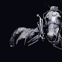 Black draft horse