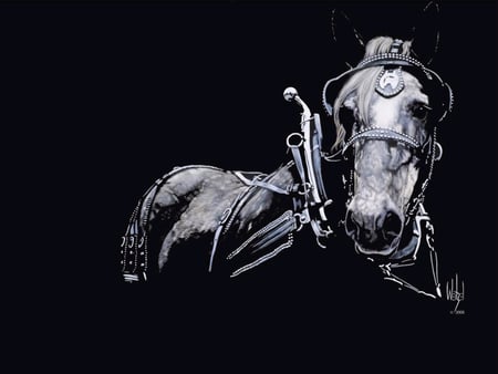 Black draft horse - black, animal, draft horse, power, wallpaper