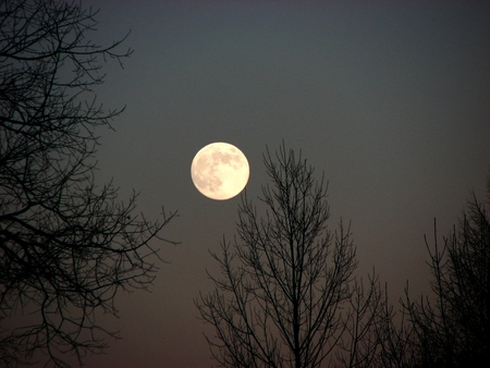 moon wallpaper - moon, art, dark abstract, wallpaper