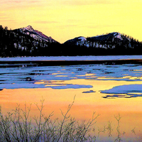 gold reflections on the lake