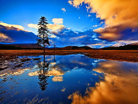 Summer sky reflection - sky, lake, orange sky, colorful, mirrored, summer, reflection, clouds, waters, tree