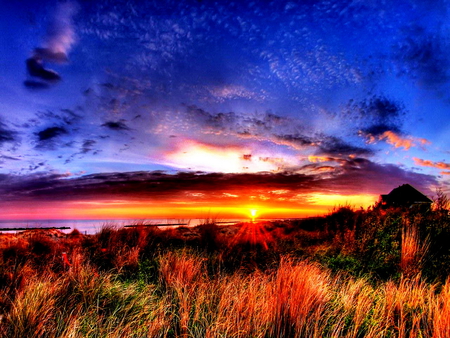 A new day starts - clouds, sunlight, water, sundown, sea, sunshine, new day, sunrise, grass, stars, colorful, sunset, golden, day, sun, sky