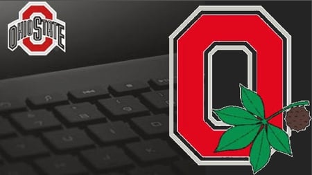 BUCKEYE E-MAIL - e-mail, ohio, buckeyes, state