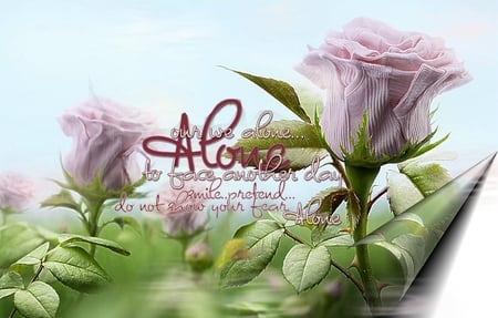 Alone - pretty, flower, pink, quote