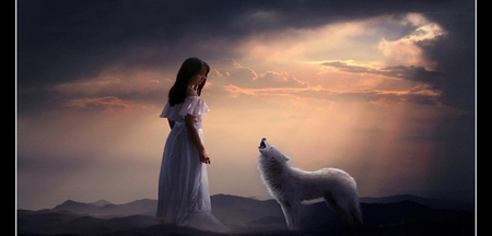 MY FRIEND THE WOLF - white, gorgeous, wolf, beautiful