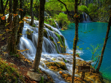 Waterfall - lake, trees, water, waterfall, fall, forest, blue, leaves, water stream