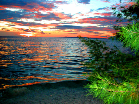 leaves and sea - clouds, sea, sunsets, sky