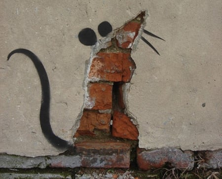 Creative photography - pic, image, ears, photography, mouse, photo, tail, nose, bricks, picture, ceeative, wall, wallpaper