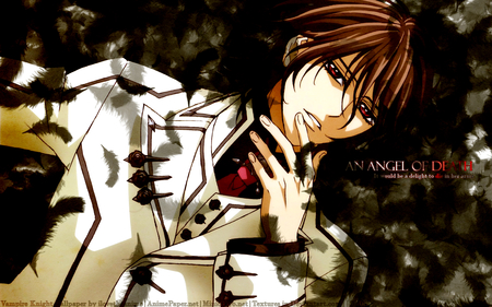 Kuran Kaname - kaname, black, kuran, brown hair, vampire knight