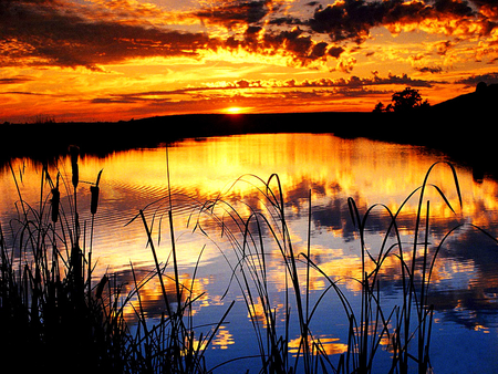 golden reflection - view, sky, lake, cloud, sunset