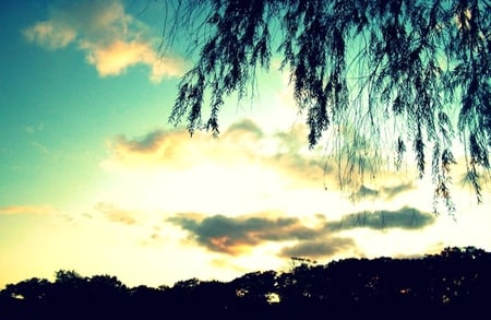 like_a_dream - nice, sky, pretty, tree, lovely