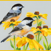 Chickadees and sunflowers