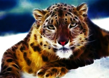 Snow_Leopard - nice, cute, pretty, lovely