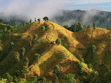 hillside home - green, house, mountain, grass