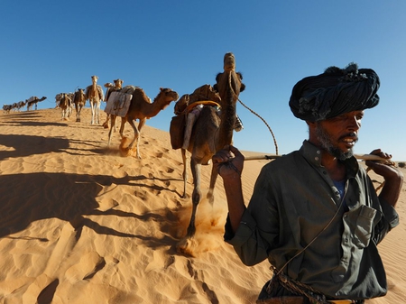 journey - camel, journey, sand, desert