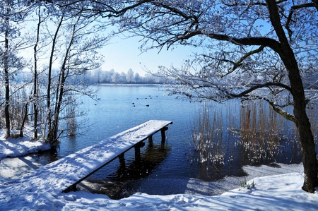 Winter Wonderland - wonder, sunshine, lake, trees, dock, winter, white, snow, beautiful