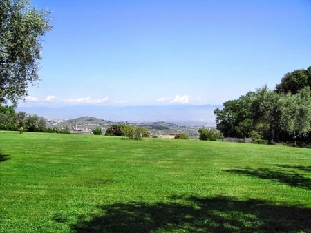 meadow - meadows, fields, nature, outdoors