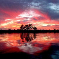 Pink Clouds