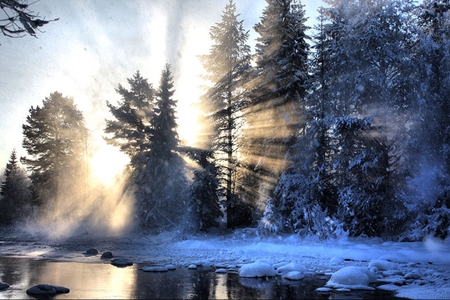 Winter scenery - trees, winter, water, photography, snow, landscape, sunshine, river, nature, cold, sun