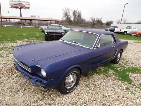 1965 Ford Mustang - autotrends, ford, 1965 mustang, mustang