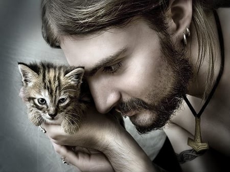 Kittens - face, man, beautiful, cat