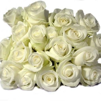 Bouquet of White Roses for my sweet friend Helen ( caramelie )