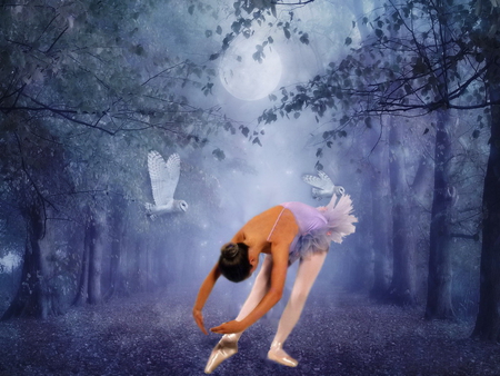 Ballet in the woods - trees, branches, birds, ballerina, magic, girl, forest, lady, mist, woman, ballet, art, artist, woods