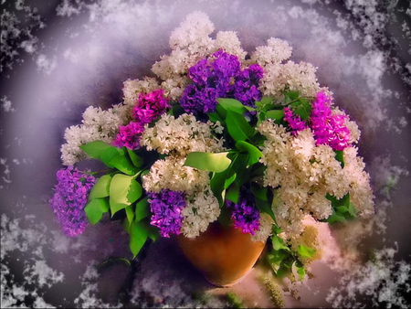 Still life - pretty, vase, delicate, beautiful, lilac, lovely, still life, harmony, flowers, colorful, nice