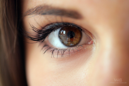 Eye Level - girls, eye, hazel eyes, eyes