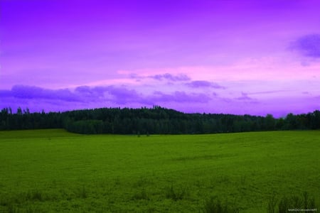 fields_of_september - pretty, nice, grass, lovely