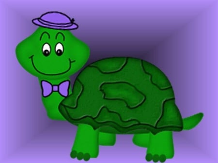 Mr Turtle