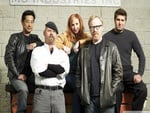 mythbusters