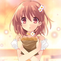 Flyable Heart