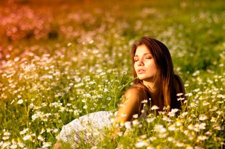 Touch of nature - touch, sunshines, daisy, girl, beauty, hair, flowers, lips, nature, face, field, sunny day