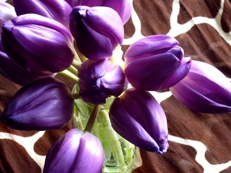 ~â™¥~ My life in Purple ~â™¥~ - special, tulips, bouquet, wonderful, spring, purple, life, arrangement, lavender, harmony, morning, magnificent, love, fresh, light, fashion, lovely, violet, nature, entertainment, beautiful, bunch, flowers