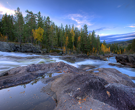 The River - water, nature, landscape, lake, morning, early, forest